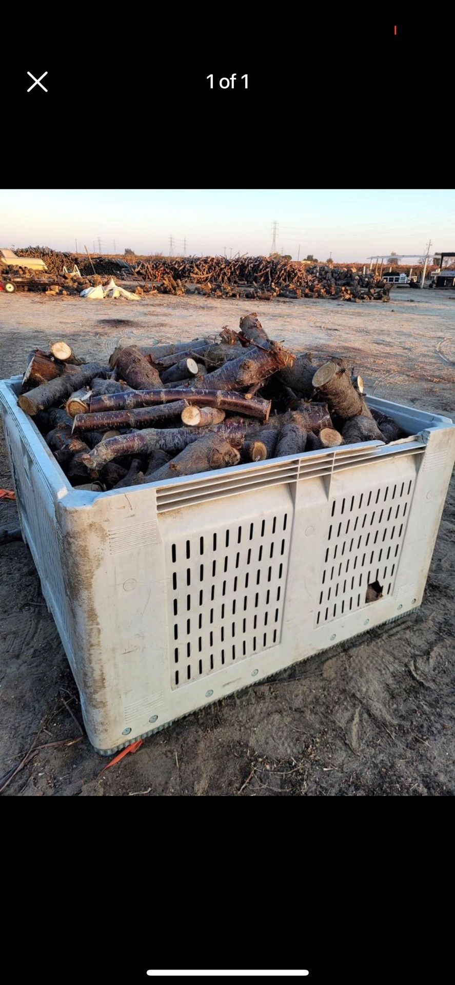 Firewood