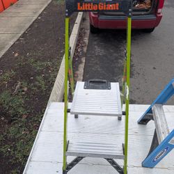 Little Giant Mighty Lite Step Ladder