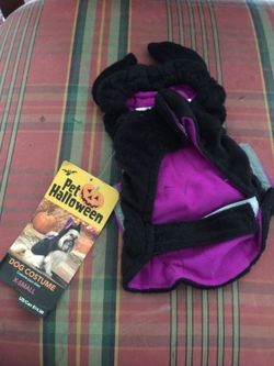 Assorted Halloween pet costume items