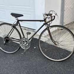 Schwinn Varsity Vintage Bike