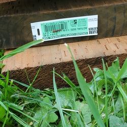 Pressure treated wood