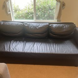 FREE! Black Couch