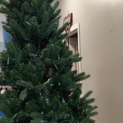 Full Christmas Tree 7 Ft