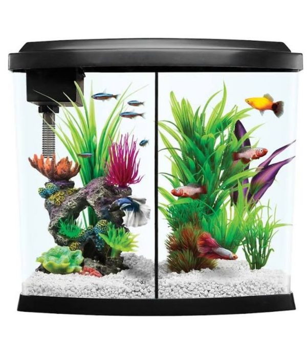 5 Gallon Tank w/removable divider for Sale in Orlando, FL OfferUp