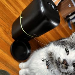 Small Animal Feeder