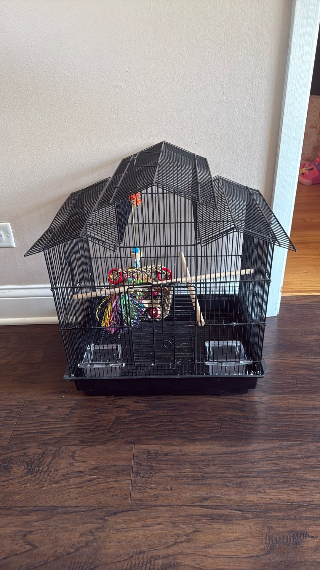 Bird Cage