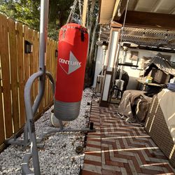 Pull Up Bar. Stand And Punching Bag 