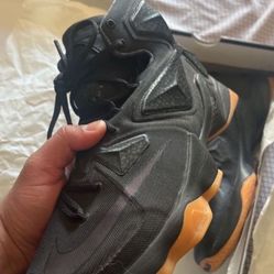 LeBron Black Lion Basketball Shoes