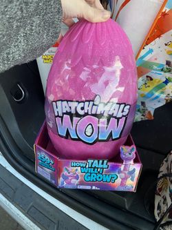 Hatchimals WOW