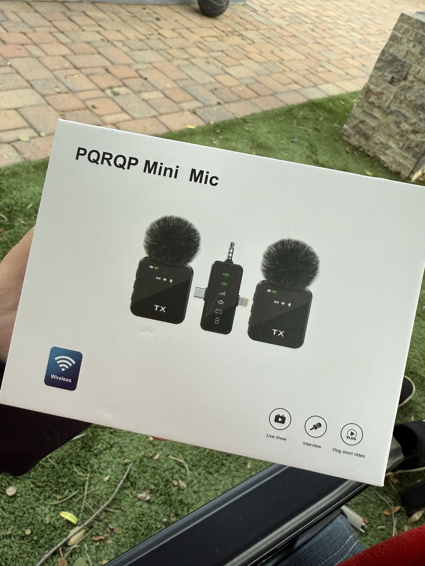 Mini Mic
