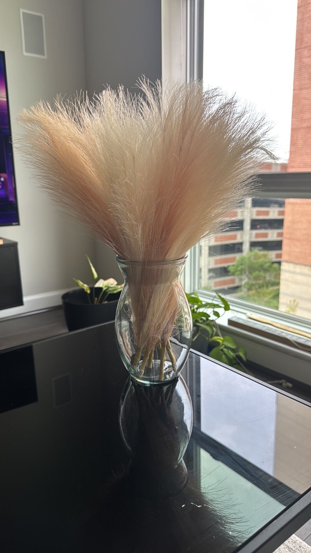 Decorative Feathers And Glass Clear Vase
