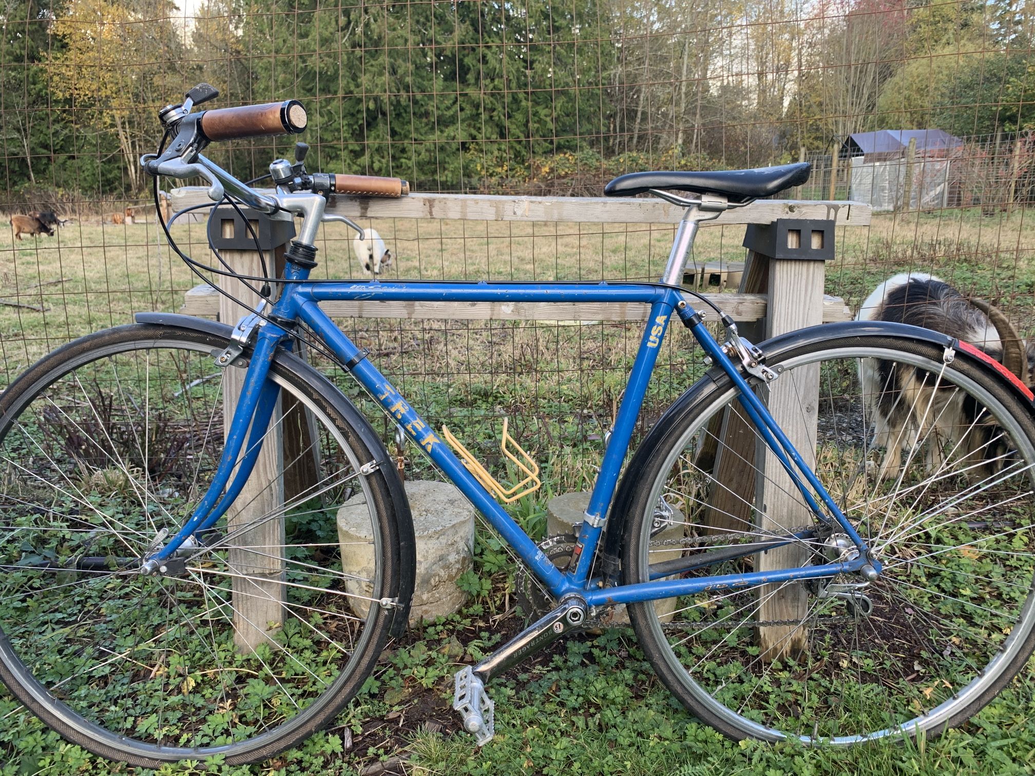 80’s Steel Trek Road Bike