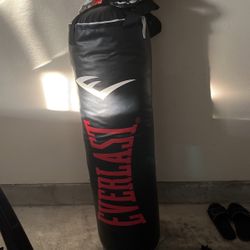 Everlast Punching bag 