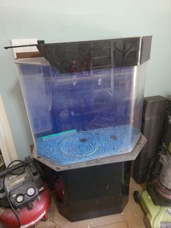 Acrylic fish tank