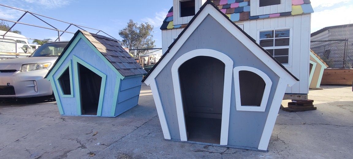 Dog House