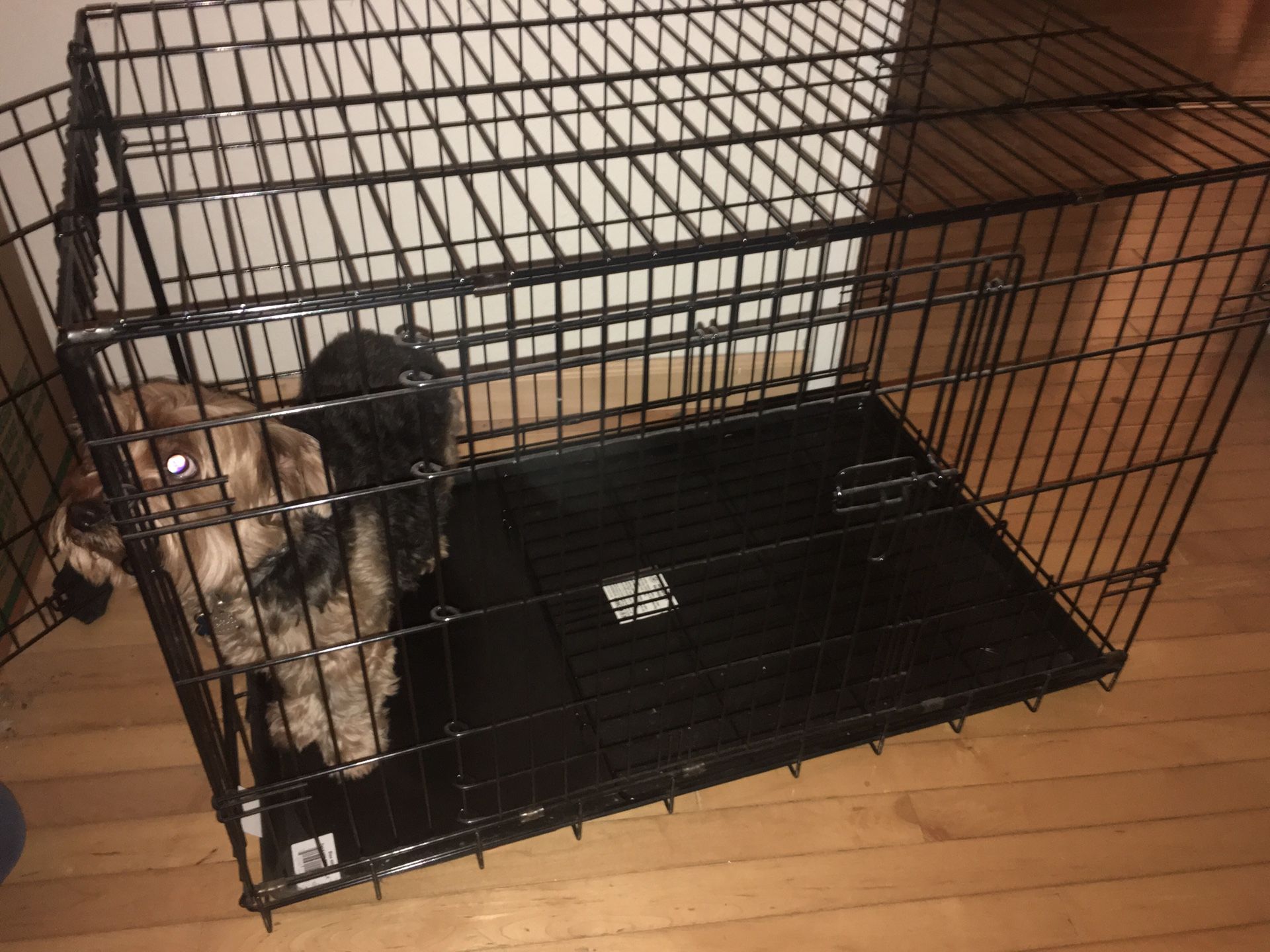 Dog crate