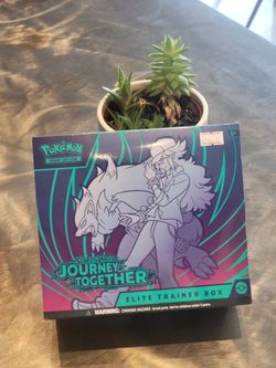🔥 Pokémon Card Boxes For Sale 🔥