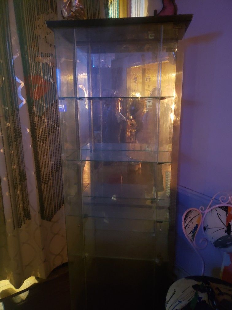 Free Glass Case With Shelves