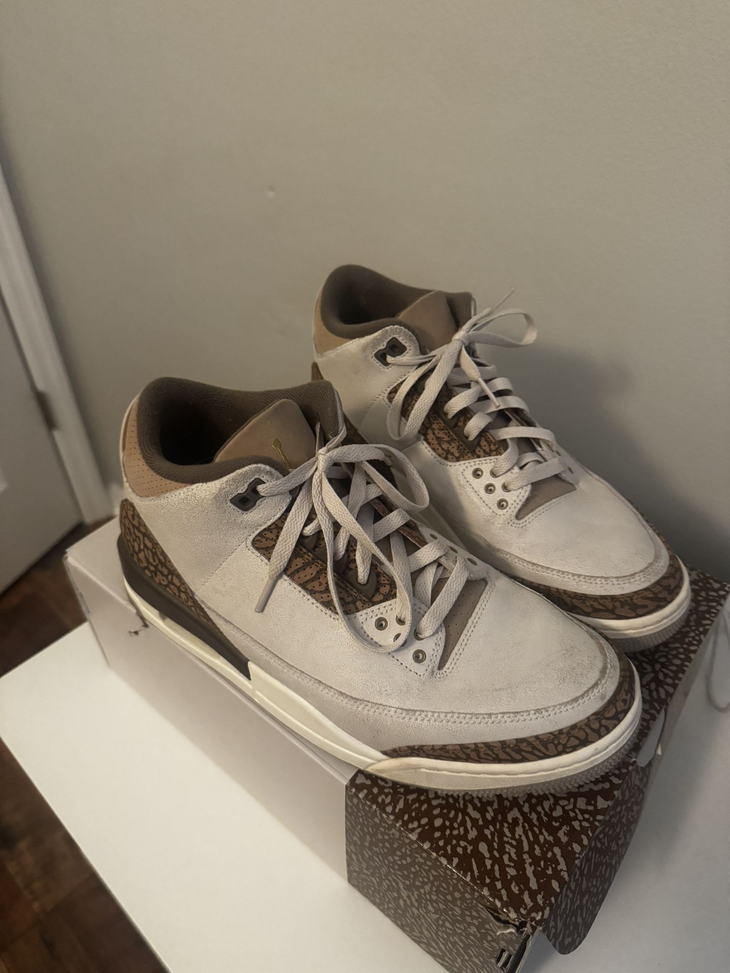 Jordan 3