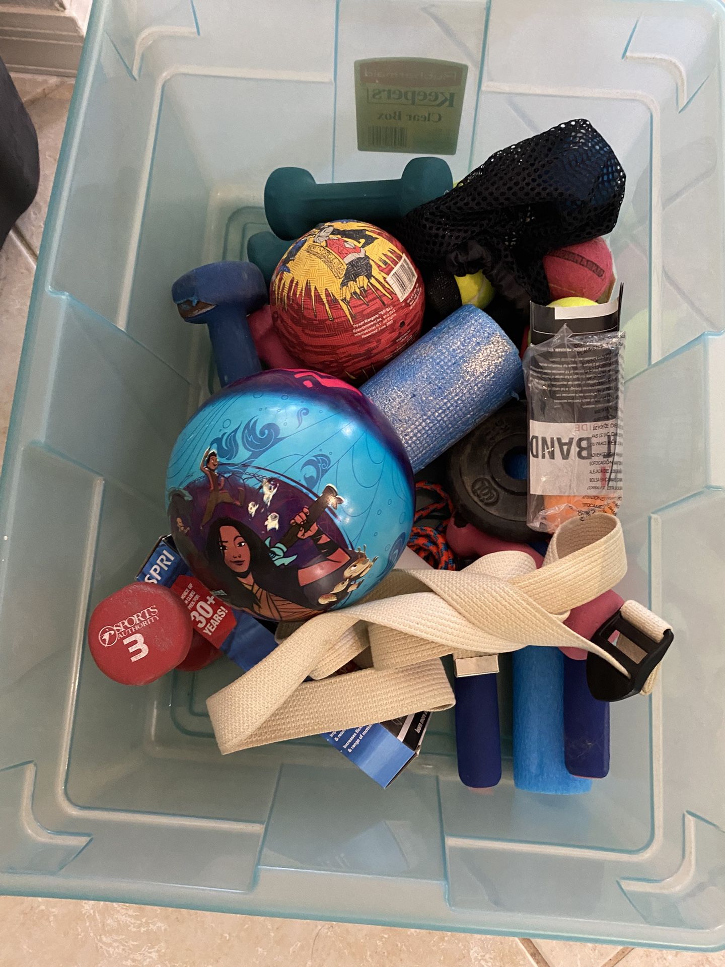 Weights And Toy Balls 