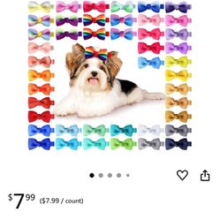 Dog Bows