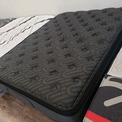 Premium Mattresses Kings and Queens