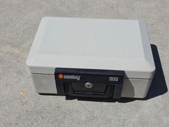 Sentry 1100 safe