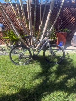 TREK VERVE 3