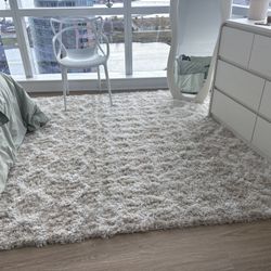 Beige Carpet