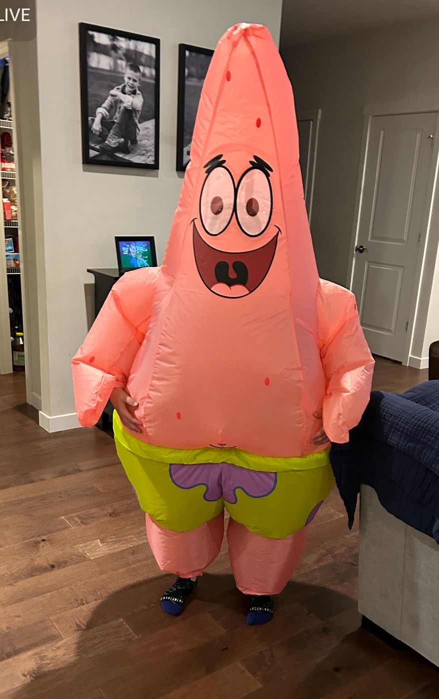 Patrick Star Halloween Costume