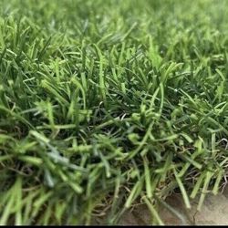 Snow Artificial Grass - Per Square Foot