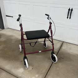 Oversized adult Walker