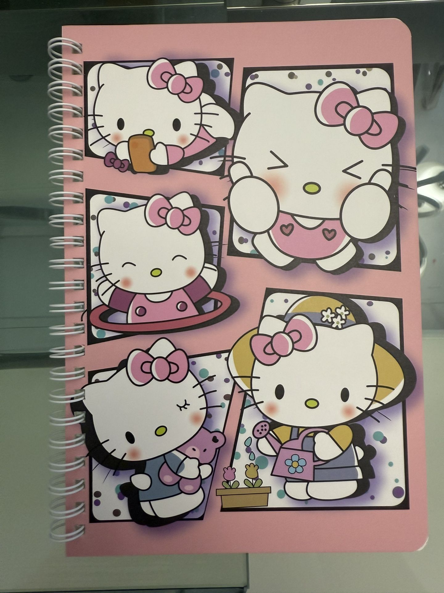 Hello kitty - Notebook