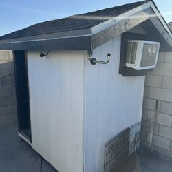 Dog House