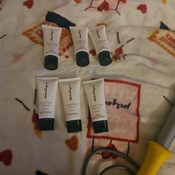 Ferragamo hair priducts new