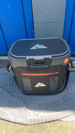 Cooler/ice chest