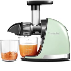 Different kinds of masticating juicer machine, cold press extractor
