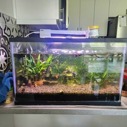 Aquarium Complete Set 