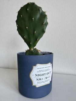 Adorable 10” Florida Prickly Pear (Opuntia Humifusa) In Eco Chic Glass Planter 