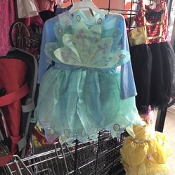 Fairy Costume 