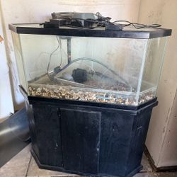 60 Gallon Fish Tank