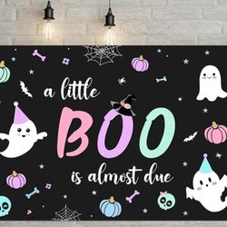 Halloween Baby Shower Backdrop 
