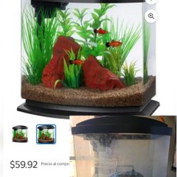 10 and 2.5 gallon aquarium with filters and decorations (No fish)