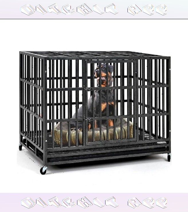 avoid from Tough Pet Cages - Protection and Comfort for Your Furry Pal