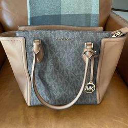 Ayden Large Signature Logo Tote Bag