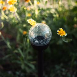 Crackleball Solar Light