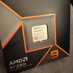 AMD Ryzen 9 9900x 