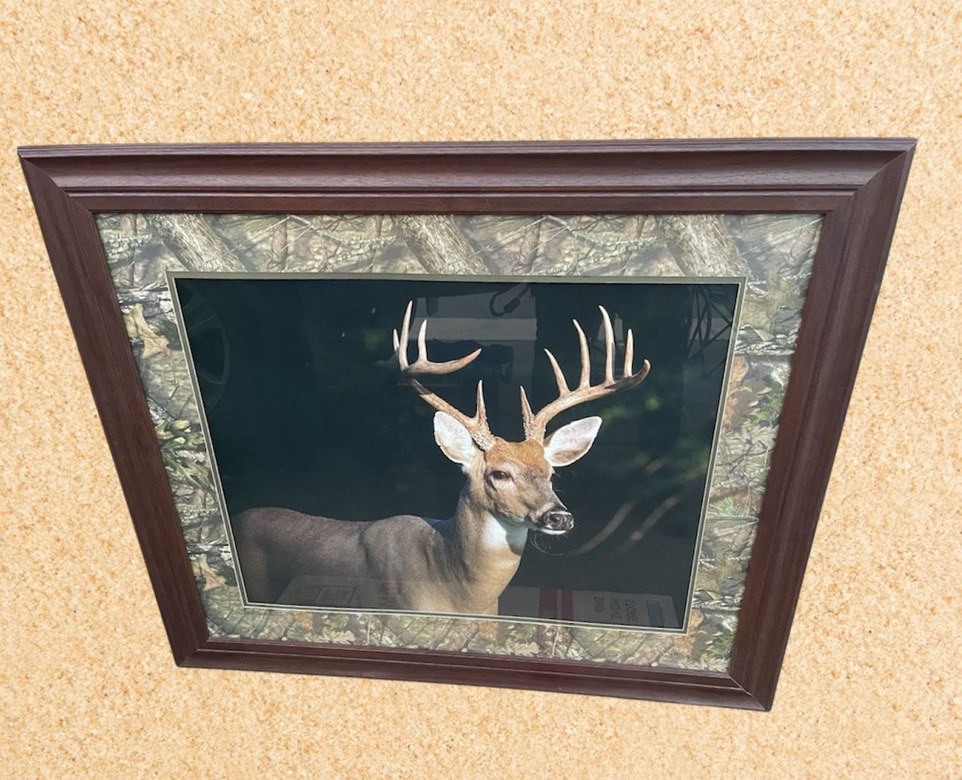 Picture of a Deer 34” X 40”