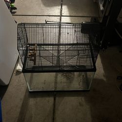 Hamster Cage 