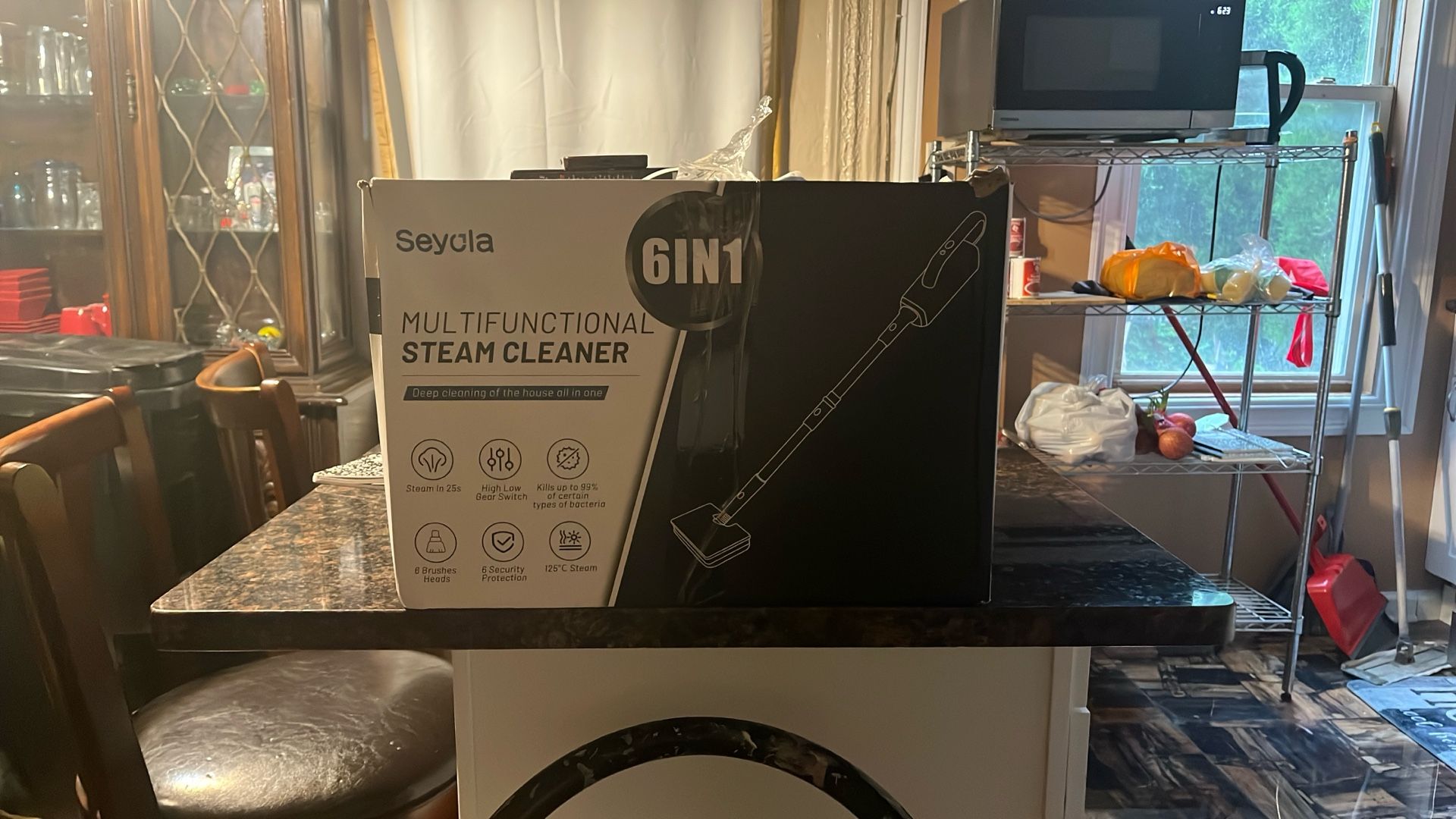 Steam Cleaner - Multifunctional